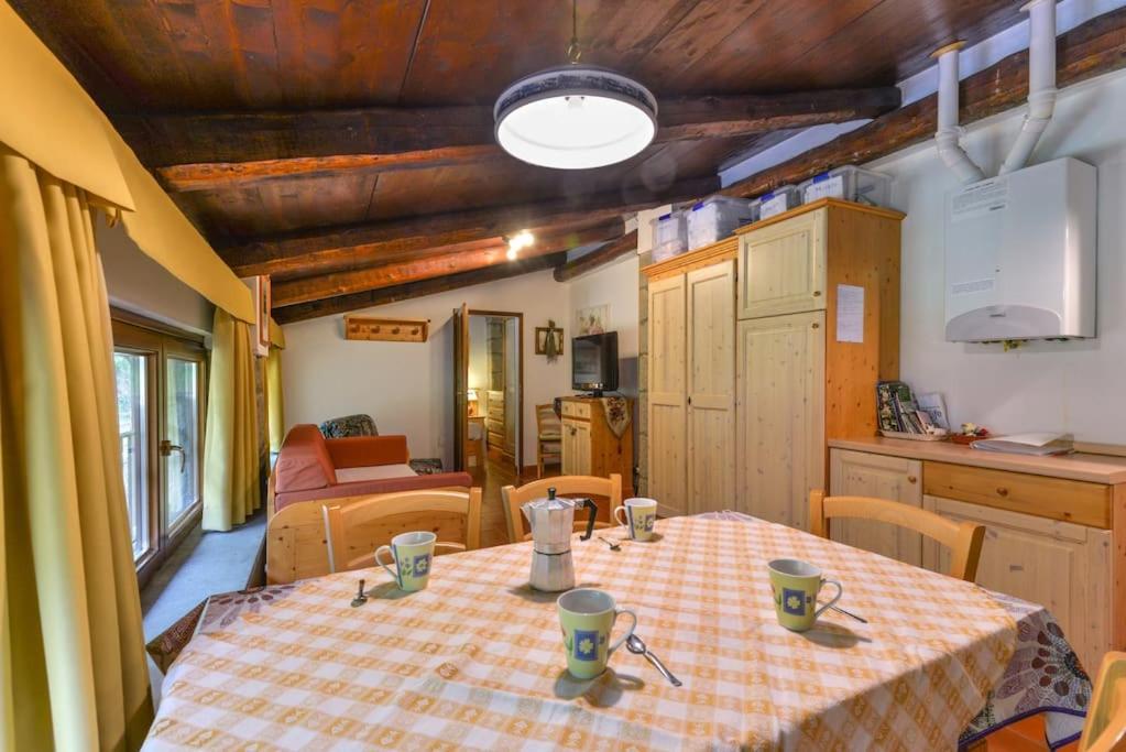 38-Volpini House In Amiata - Val D'Orcia, Saturnia, Feste&Sagre Castel del Piano  Exterior foto